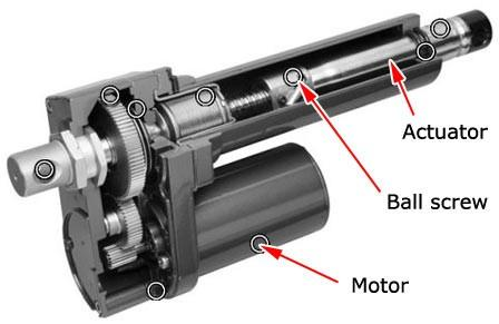 Ball Screw Linear Actuator Schematic Diagram